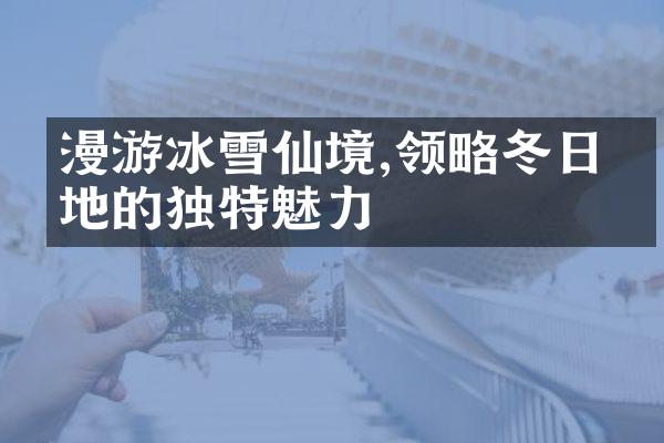 漫游冰雪仙境,领略冬日极地的独特魅力