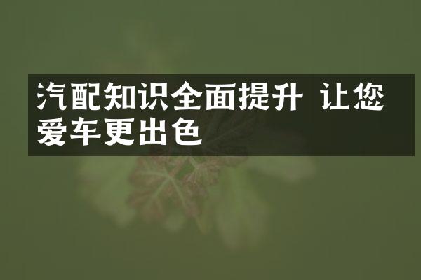 汽配知识全面提升 让您的爱车更出色