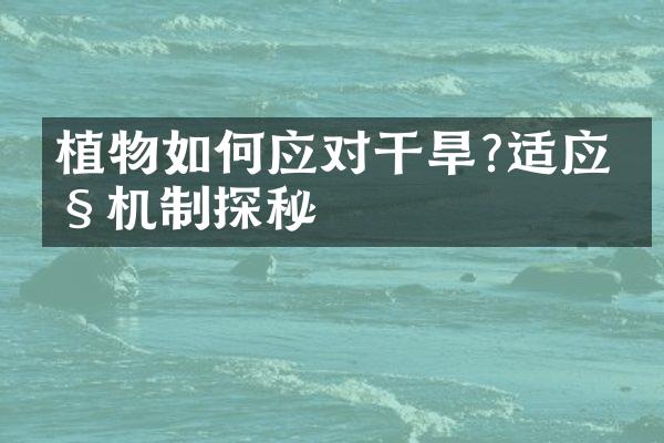 植物如何应对干旱?适应性机制探秘
