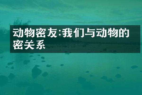 动物密友:我们与动物的亲密关系