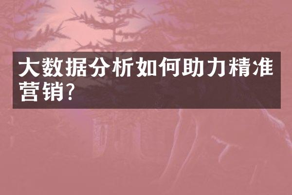 大数据分析如何助力精准营销?