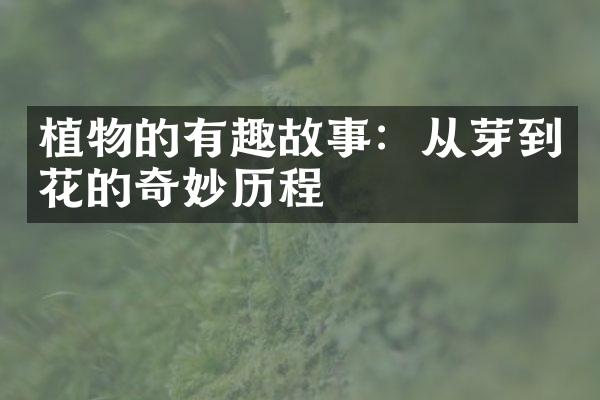 植物的有趣故事：从芽到花的奇妙历程
