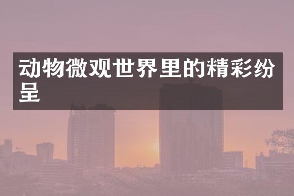 动物微观世界里的精彩纷呈