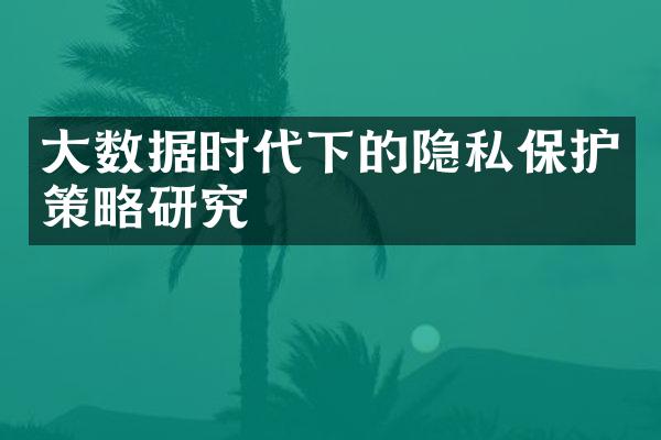 大数据时代下的隐私保护策略研究
