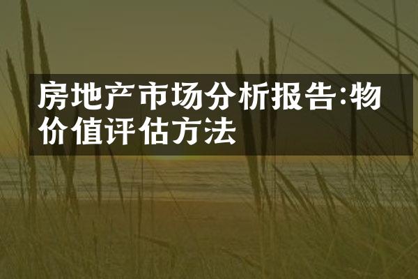 房地产市场分析报告:物业价值评估方法