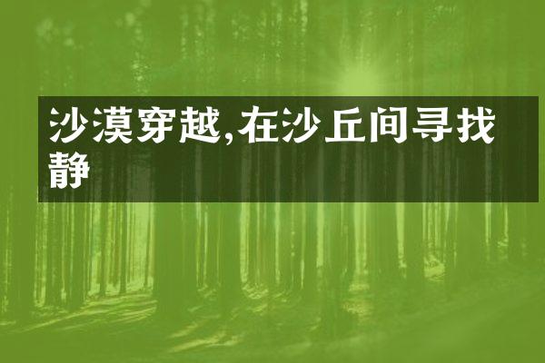 沙漠穿越,在沙丘间寻找宁静