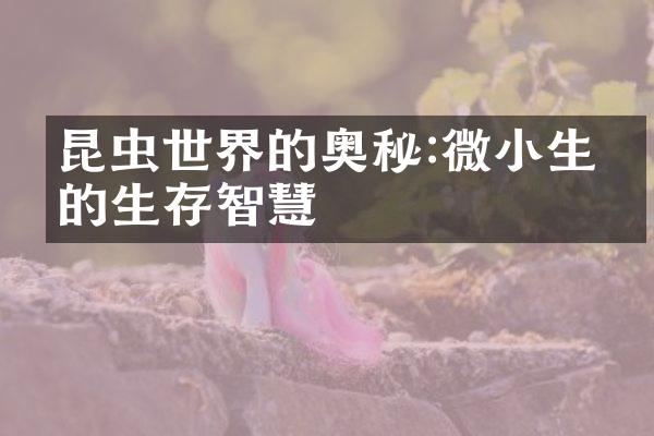 昆虫世界的奥秘:微小生物的生存智慧