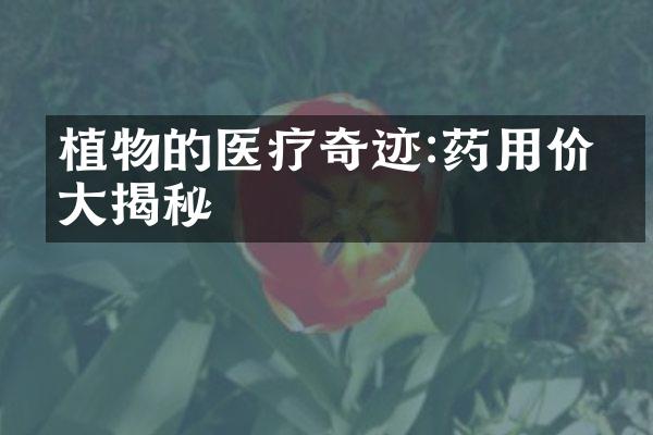 植物的医疗奇迹:药用价值大揭秘