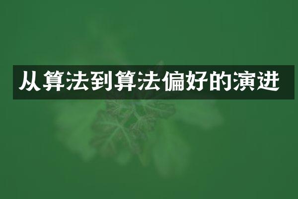 从算法到算法偏好的演进