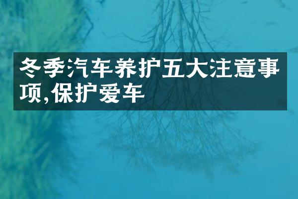 冬季汽车养护五大注意事项,保护爱车