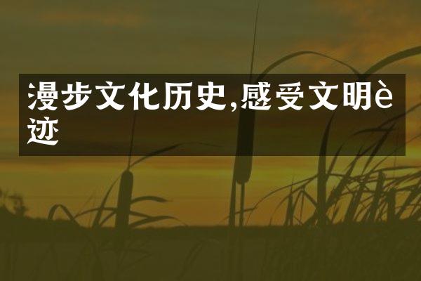 漫步文化历史,感受文明足迹