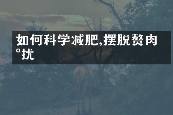 如何科学减肥,摆脱赘肉困扰