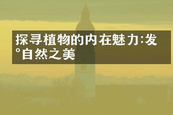 探寻植物的内在魅力:发现自然之美