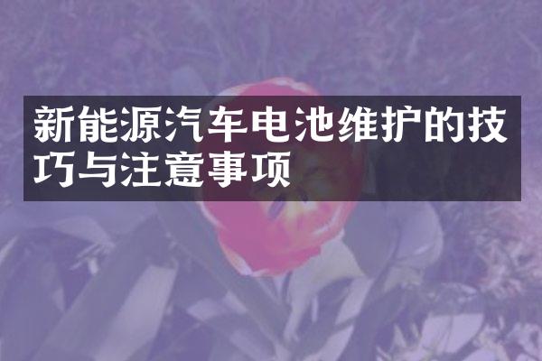 新能源汽车电池维护的技巧与注意事项