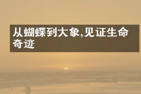 从蝴蝶到大象,见证生命的奇迹