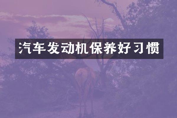 汽车发动机保养好习惯