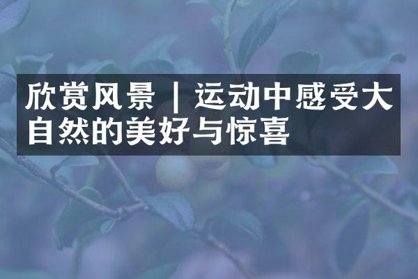 欣赏风景 | 运动中感受大自然的美好与惊喜