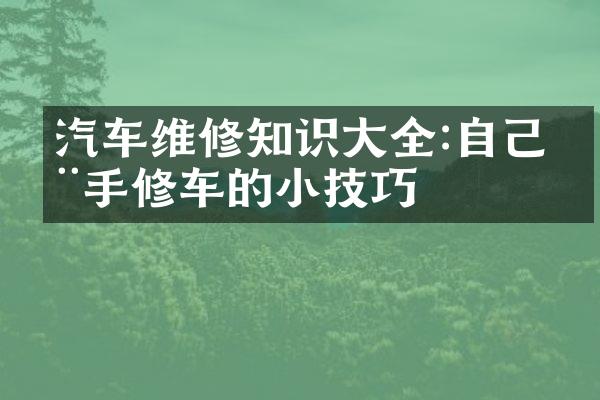 汽车维修知识大全:自己动手修车的小技巧
