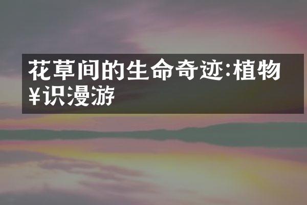 花草间的生命奇迹:植物知识漫游
