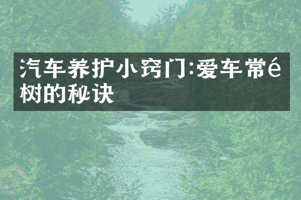 汽车养护小窍门:爱车常青树的秘诀
