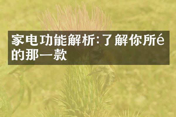 家电功能解析:了解你所需的那一款
