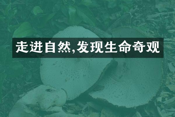 走进自然,发现生命奇观