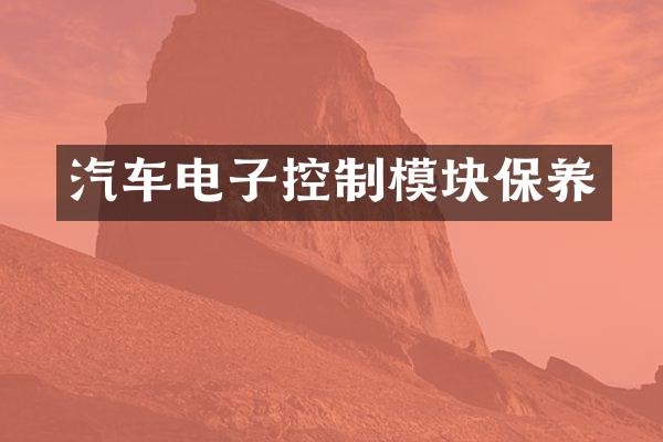 汽车电子控制模块保养