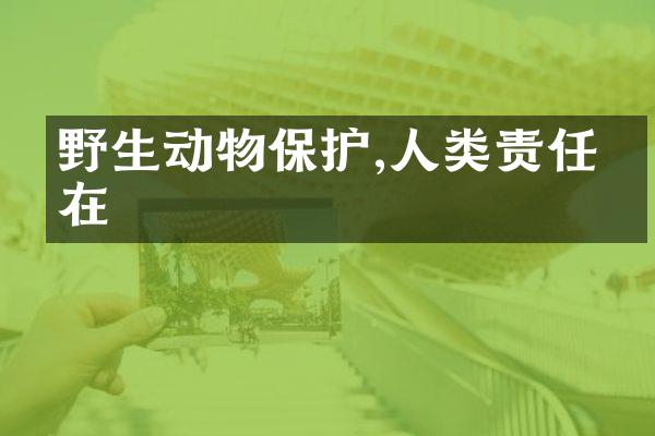 野生动物保护,人类责任所在