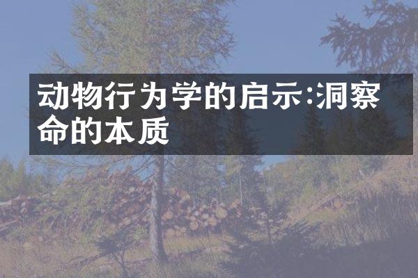 动物行为学的启示:洞察生命的本质