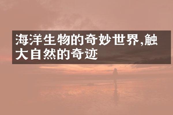 海洋生物的奇妙世界,触摸大自然的奇迹