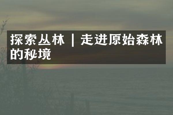 探索丛林 | 走进原始森林的秘境