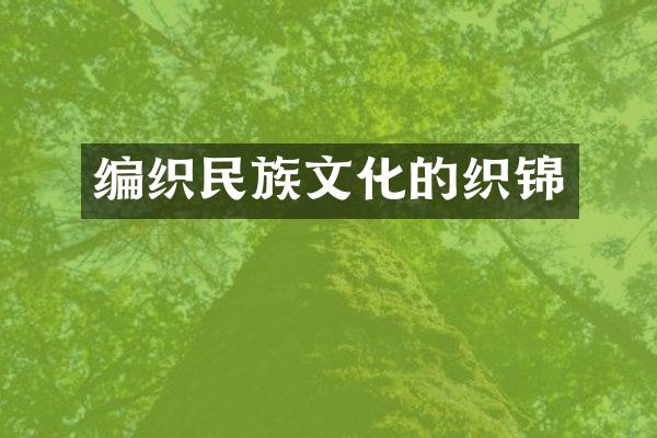 编织民族文化的织锦
