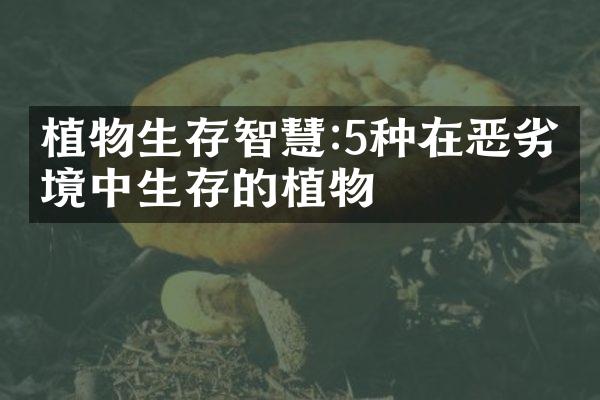 植物生存智慧:5种在恶劣环境中生存的植物