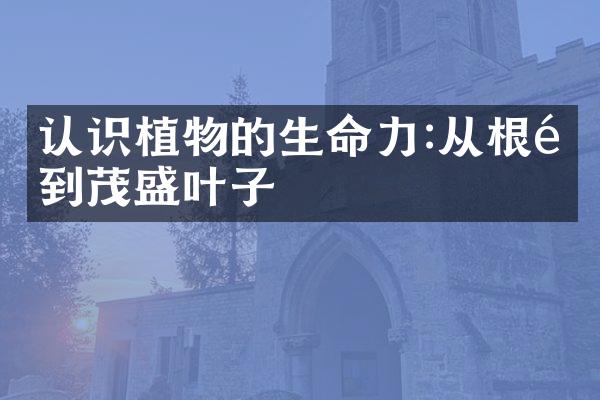 认识植物的生命力:从根须到茂盛叶子