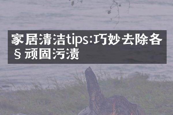 家居清洁tips:巧妙去除各种顽固污渍