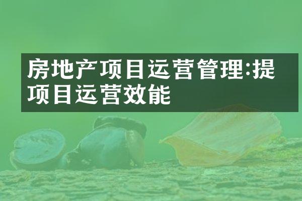 房地产项目运营管理:提升项目运营效能