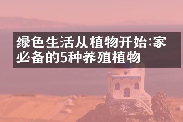 绿色生活从植物开始:家庭必备的5种养殖植物