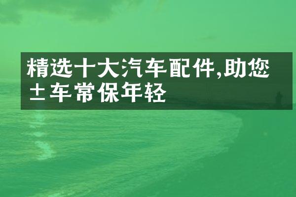 精选十大汽车配件,助您爱车常保年轻
