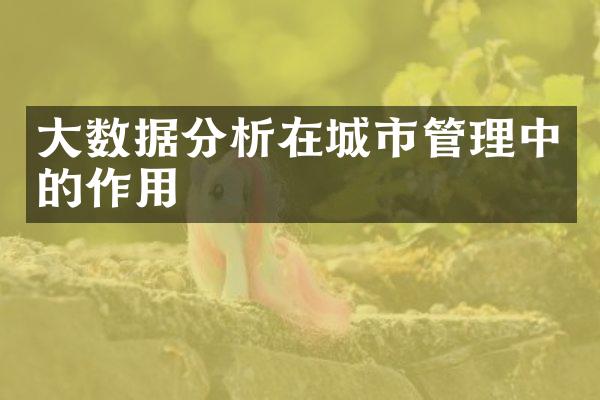 大数据分析在城市管理中的作用