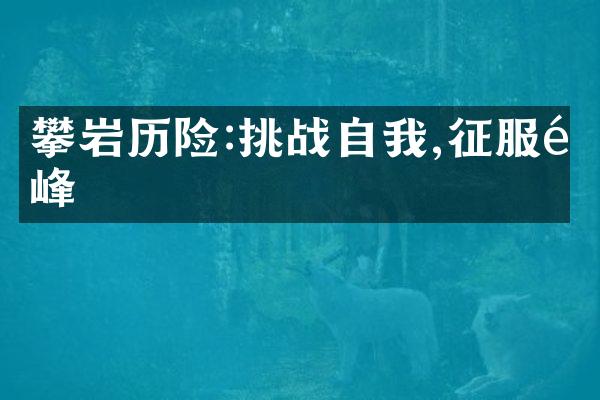 攀岩历险:挑战自我,征服高峰
