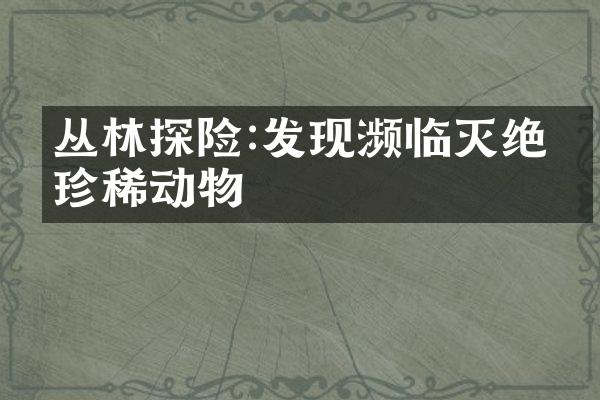 丛林探险:发现濒临灭绝的珍稀动物