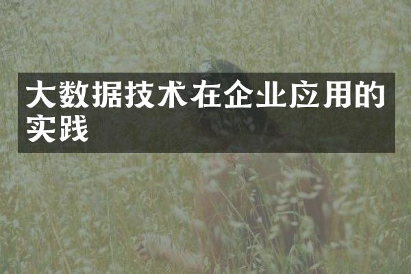 大数据技术在企业应用的实践