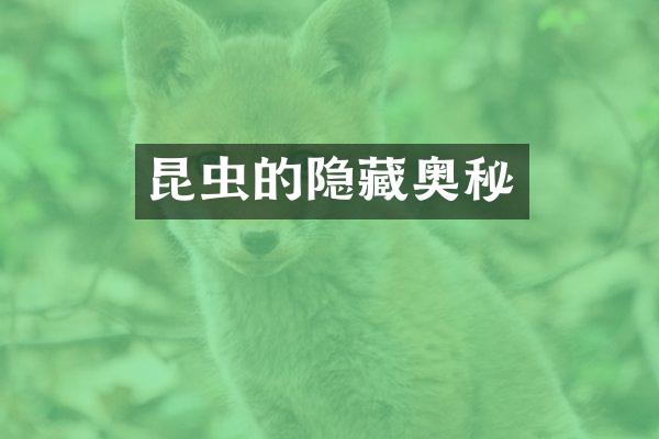 昆虫的隐藏奥秘