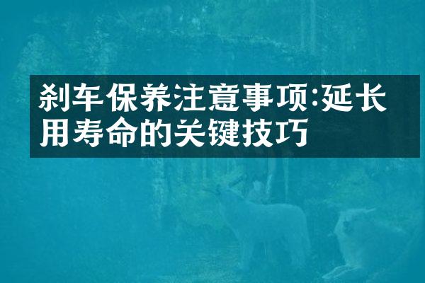 刹车保养注意事项:延长使用寿命的关键技巧