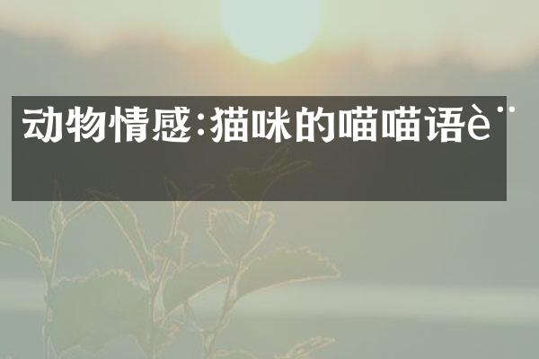动物情感:猫咪的喵喵语言