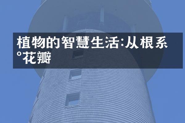 植物的智慧生活:从根系到花瓣