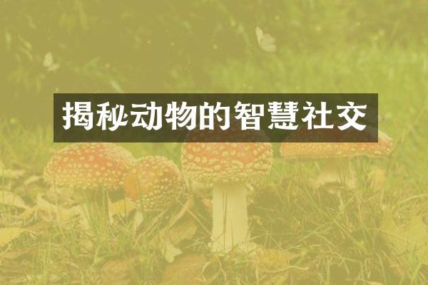 揭秘动物的智慧社交