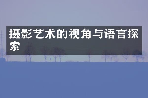 摄影艺术的视角与语言探索