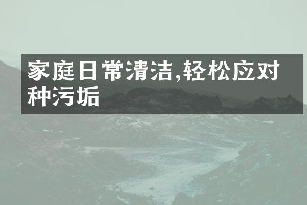 家庭日常清洁,轻松应对各种污垢