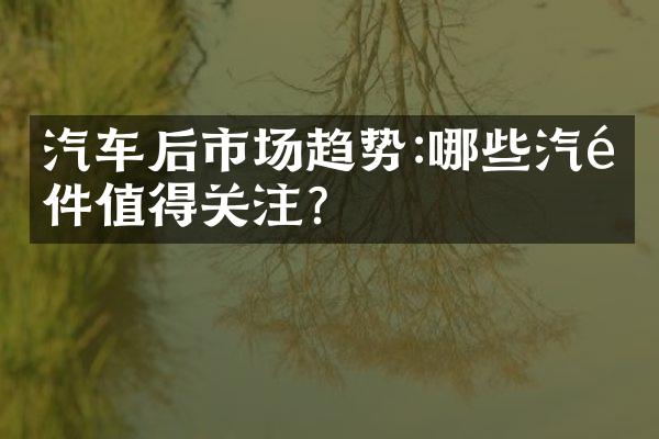 汽车后市场趋势:哪些汽配件值得关注?